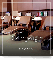 Campaign