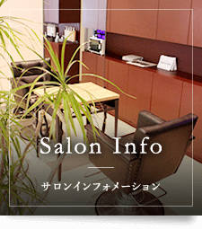 Salon Info